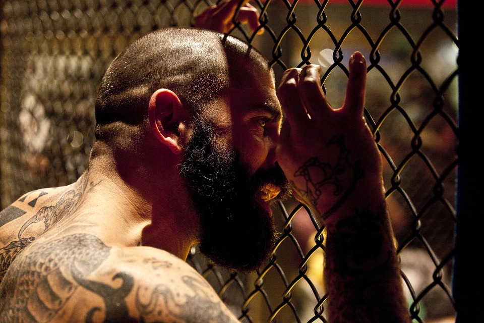 Bojový sport MMA a jeho stále rostoucí popularita
